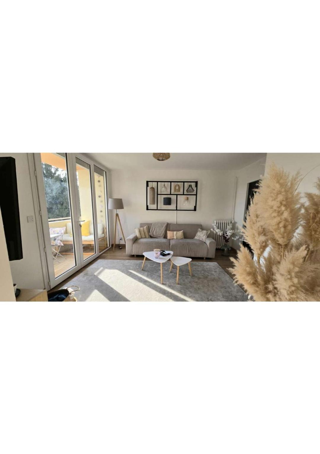 Superbe T3 Cosy, Parking Gratuit + Balcon Appartement Riom Buitenkant foto