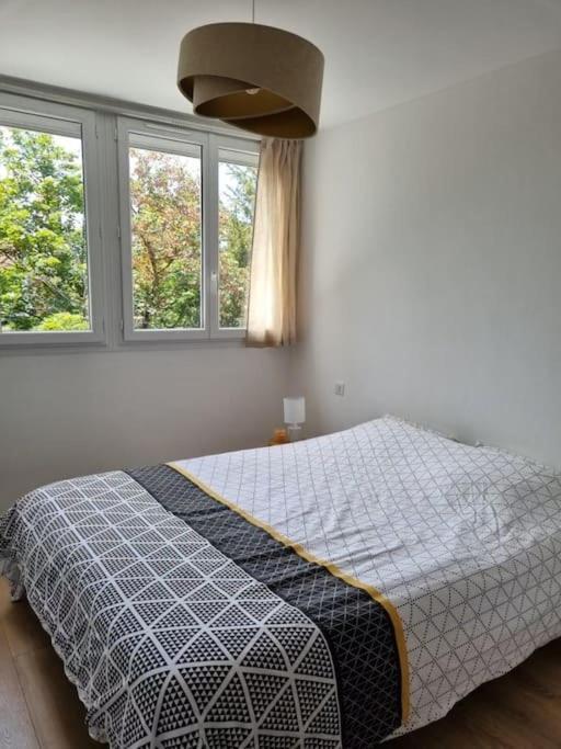 Superbe T3 Cosy, Parking Gratuit + Balcon Appartement Riom Buitenkant foto